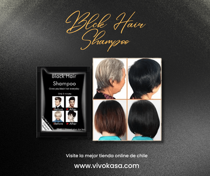 Shampoo Colorante Canas Negro DISAAR